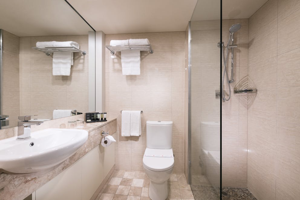 Deluxe Park View King Bathroom