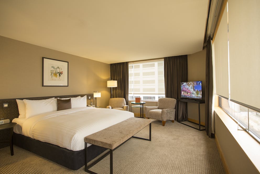 Executive King Suite