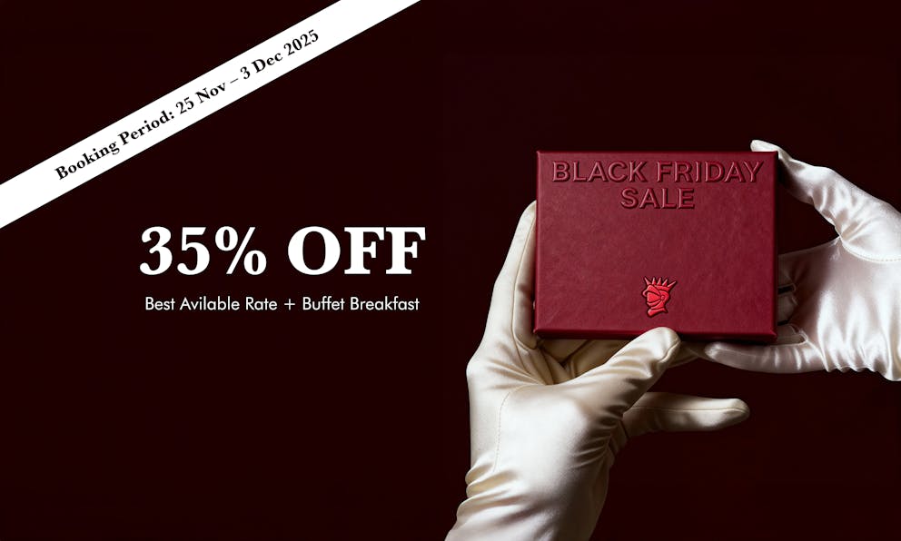 Black Friday Website landing page