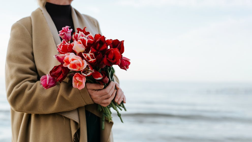 iStock 1793070719 v2